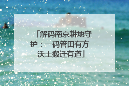 解码南京耕地守护：一码管田有方 沃土搬迁有道