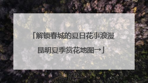 解锁春城的夏日花事浪漫 昆明夏季赏花地图→