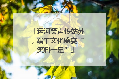 运河笑声传姑苏，端午文化盛宴“笑料十足”