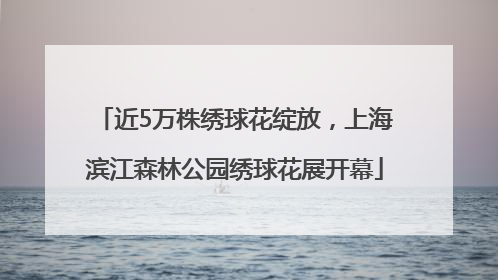 近5万株绣球花绽放，上海滨江森林公园绣球花展开幕