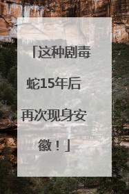 这种剧毒蛇15年后再次现身安徽！