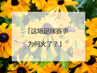 这场足球赛事为何火了？