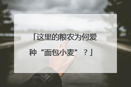 这里的粮农为何爱种“面包小麦”？