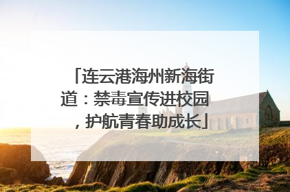 连云港海州新海街道：禁毒宣传进校园，护航青春助成长