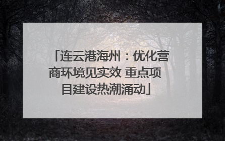 连云港海州：优化营商环境见实效 重点项目建设热潮涌动
