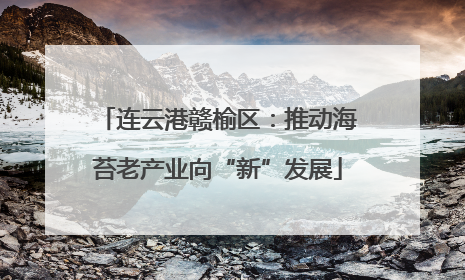 连云港赣榆区：推动海苔老产业向“新”发展