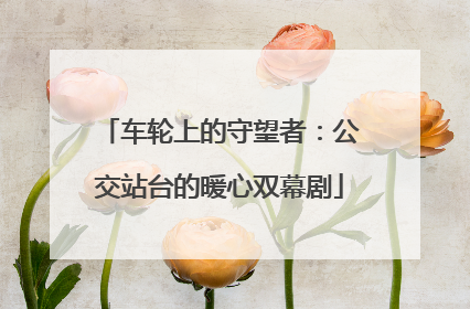 车轮上的守望者：公交站台的暖心双幕剧