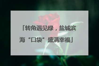 转角遇见绿，盐城滨海“口袋”盛满幸福