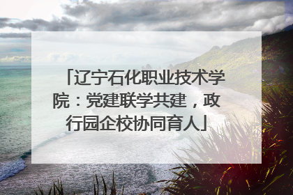 辽宁石化职业技术学院：党建联学共建，政行园企校协同育人