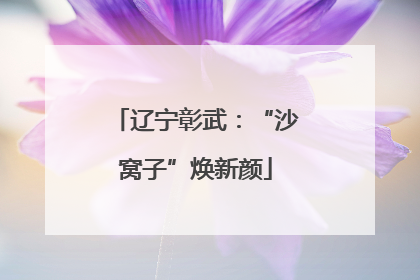 辽宁彰武：“沙窝子”焕新颜