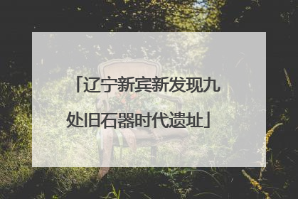 辽宁新宾新发现九处旧石器时代遗址