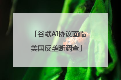 谷歌AI协议面临美国反垄断调查
