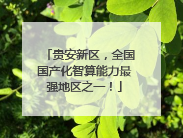 贵安新区，全国国产化智算能力最强地区之一！