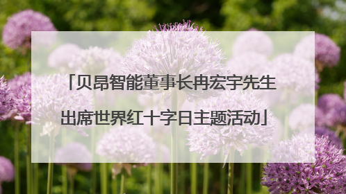 贝昂智能董事长冉宏宇先生出席世界红十字日主题活动