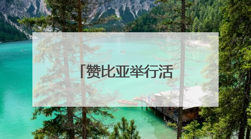 赞比亚举行活动纪念非洲日