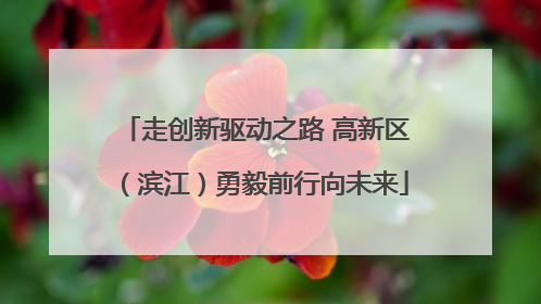 走创新驱动之路 高新区（滨江）勇毅前行向未来