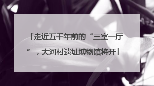 走近五千年前的“三室一厅”，大河村遗址博物馆将开