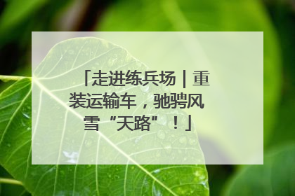 走进练兵场｜重装运输车，驰骋风雪“天路”！
