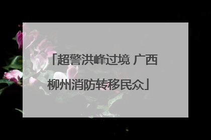 超警洪峰过境 广西柳州消防转移民众