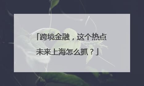 跨境金融，这个热点未来上海怎么抓？