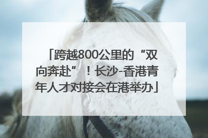 跨越800公里的“双向奔赴”！长沙-香港青年人才对接会在港举办