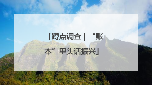 蹲点调查｜“账本”里头话振兴