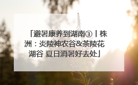避暑康养到湖南③丨株洲：炎陵神农谷&茶陵花湖谷 夏日消暑好去处