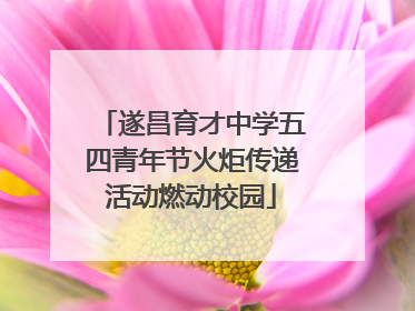 遂昌育才中学五四青年节火炬传递活动燃动校园