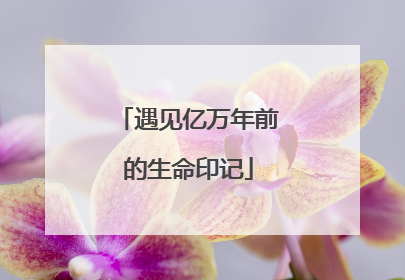 遇见亿万年前的生命印记