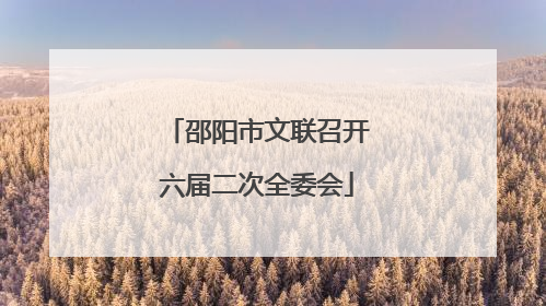 邵阳市文联召开六届二次全委会