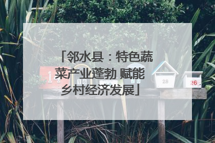 邻水县：特色蔬菜产业蓬勃 赋能乡村经济发展