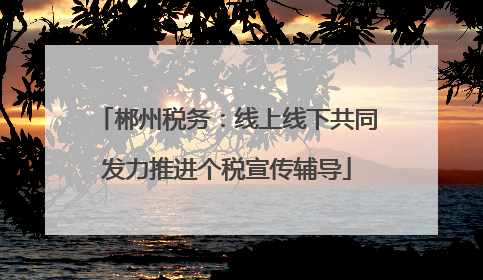郴州税务：线上线下共同发力推进个税宣传辅导