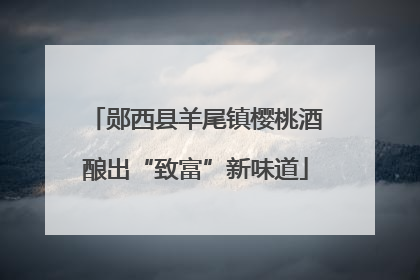 郧西县羊尾镇樱桃酒酿出“致富”新味道