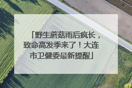 野生蘑菇雨后疯长，致命高发季来了！大连市卫健委最新提醒
