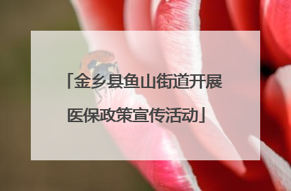 金乡县鱼山街道开展医保政策宣传活动