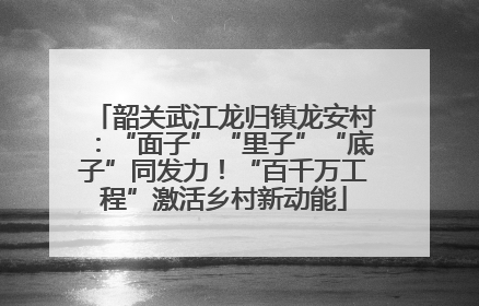 韶关武江龙归镇龙安村：“面子”“里子”“底子”同发力！“百千万工程”激活乡村新动能