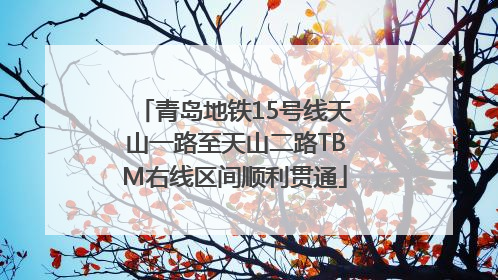 青岛地铁15号线天山一路至天山二路TBM右线区间顺利贯通