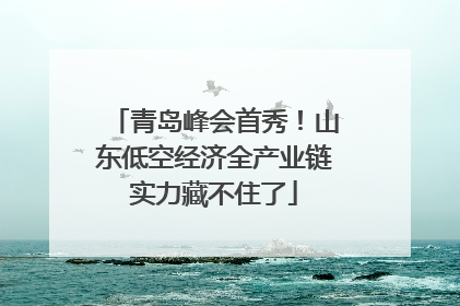 青岛峰会首秀！山东低空经济全产业链实力藏不住了
