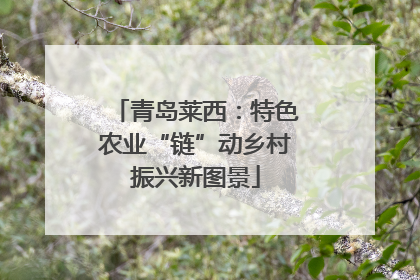 青岛莱西：特色农业“链”动乡村振兴新图景