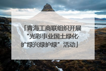 青海工商联组织开展“光彩事业国土绿化·扩绿兴绿护绿”活动