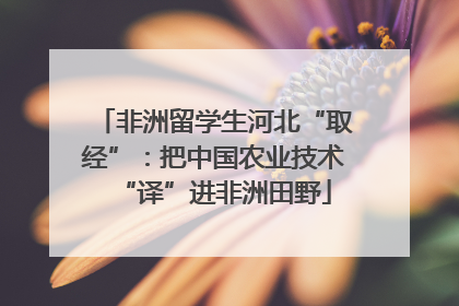 非洲留学生河北“取经”：把中国农业技术“译”进非洲田野