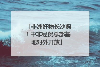 非洲好物长沙购！中非经贸总部基地对外开放