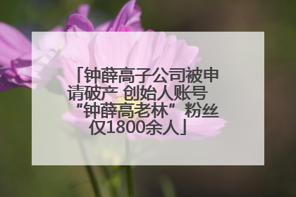 钟薛高子公司被申请破产 创始人账号“钟薛高老林”粉丝仅1800余人