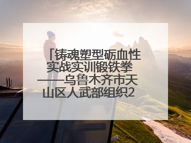 铸魂塑型砺血性 实战实训锻铁拳——乌鲁木齐市天山区人武部组织2025年度民兵集中轮训