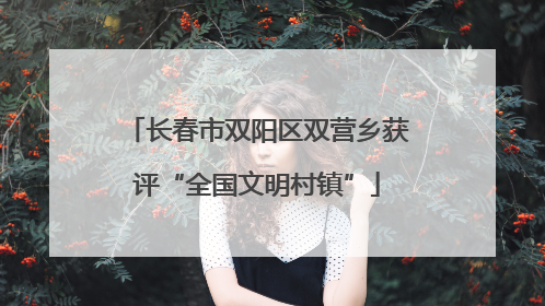 长春市双阳区双营乡获评“全国文明村镇”