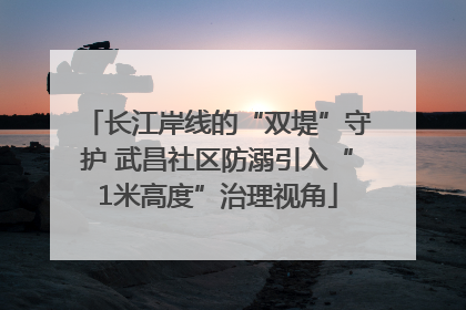 长江岸线的“双堤”守护 武昌社区防溺引入“1米高度”治理视角