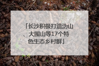 长沙积极打造沩山、大围山等17个特色生态乡村群