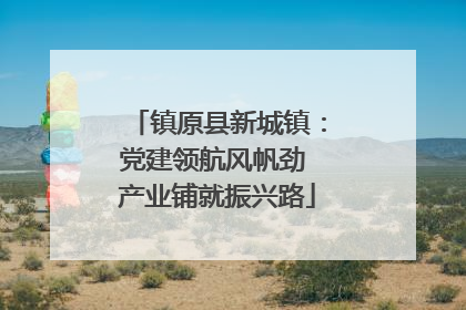 镇原县新城镇：党建领航风帆劲 产业铺就振兴路