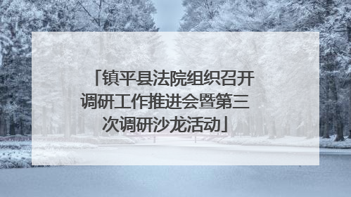 镇平县法院组织召开调研工作推进会暨第三次调研沙龙活动