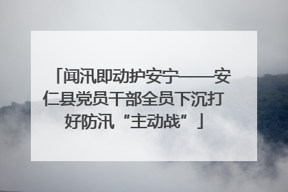 闻汛即动护安宁——安仁县党员干部全员下沉打好防汛“主动战”